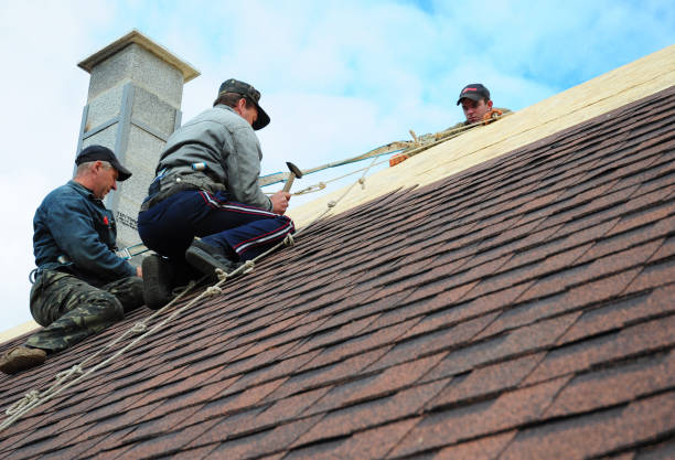 Best Residential Roofing Contractor  in Frostproof, FL